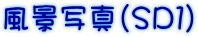 風景写真（ＳＤ１）